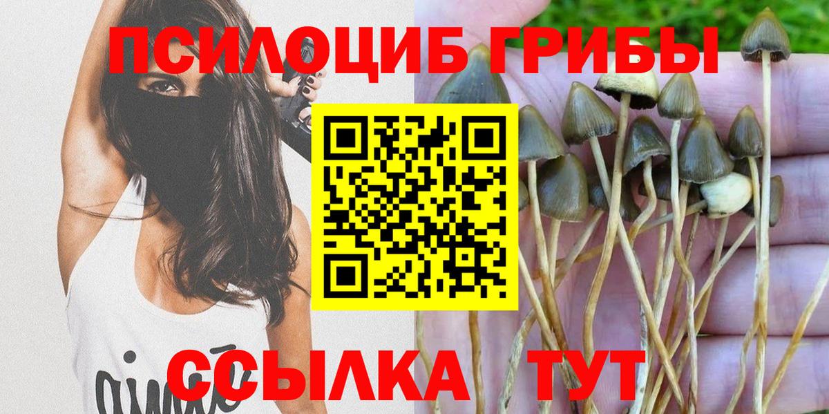 Вичуга  Псилоцибиновые грибы прущие грибы  Галлюциногенные грибы Magic Shrooms  Вход с VPN 
